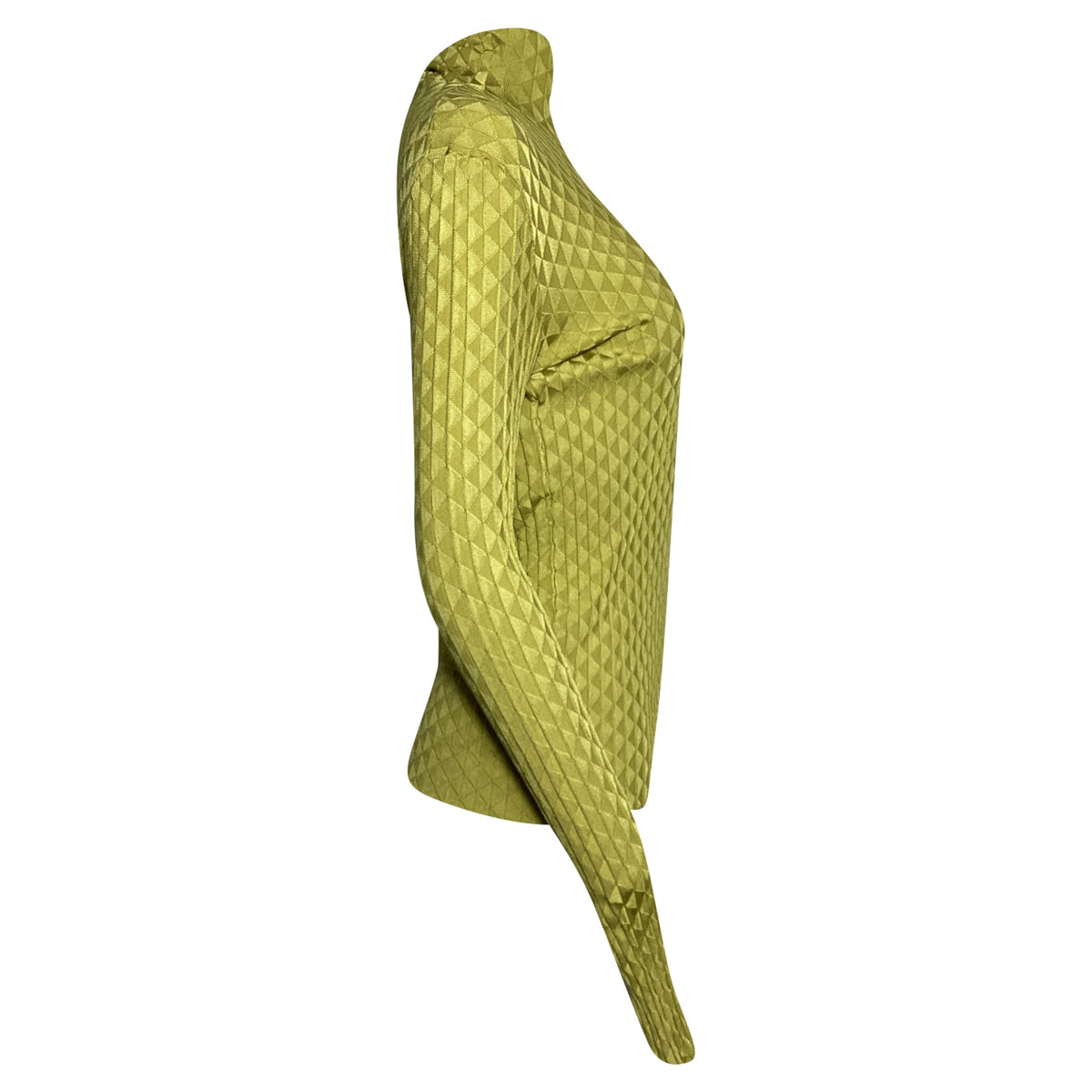 Bottega Veneta Dragon Underpinned Turtleneck Pullover in Green Silk