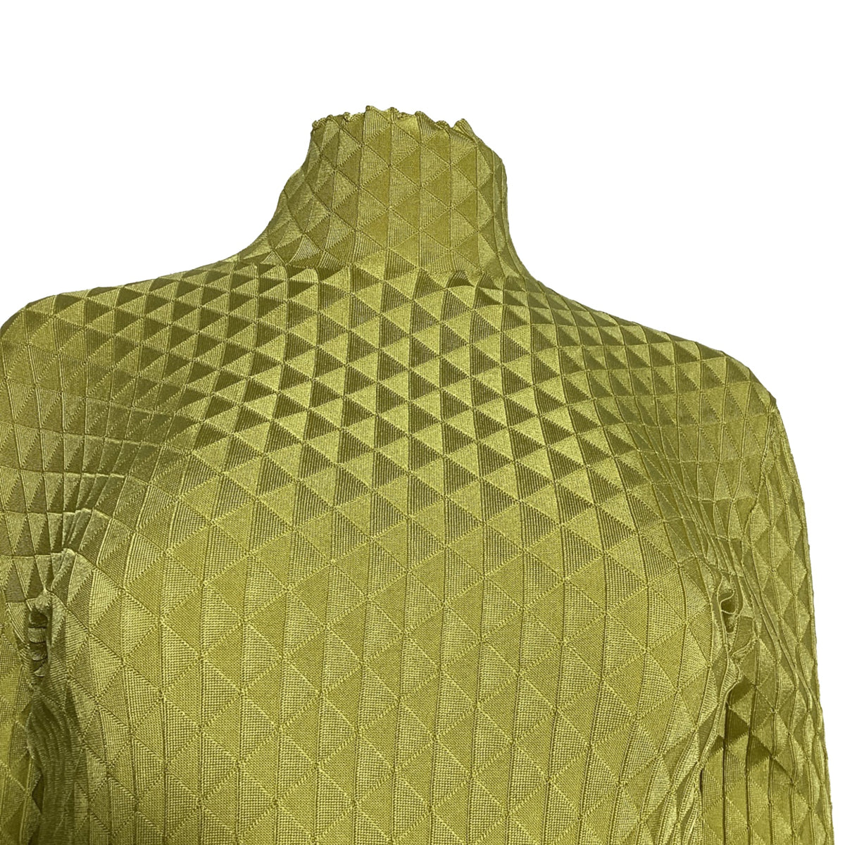 Bottega Veneta Dragon Underpinned Turtleneck Pullover in Green Silk