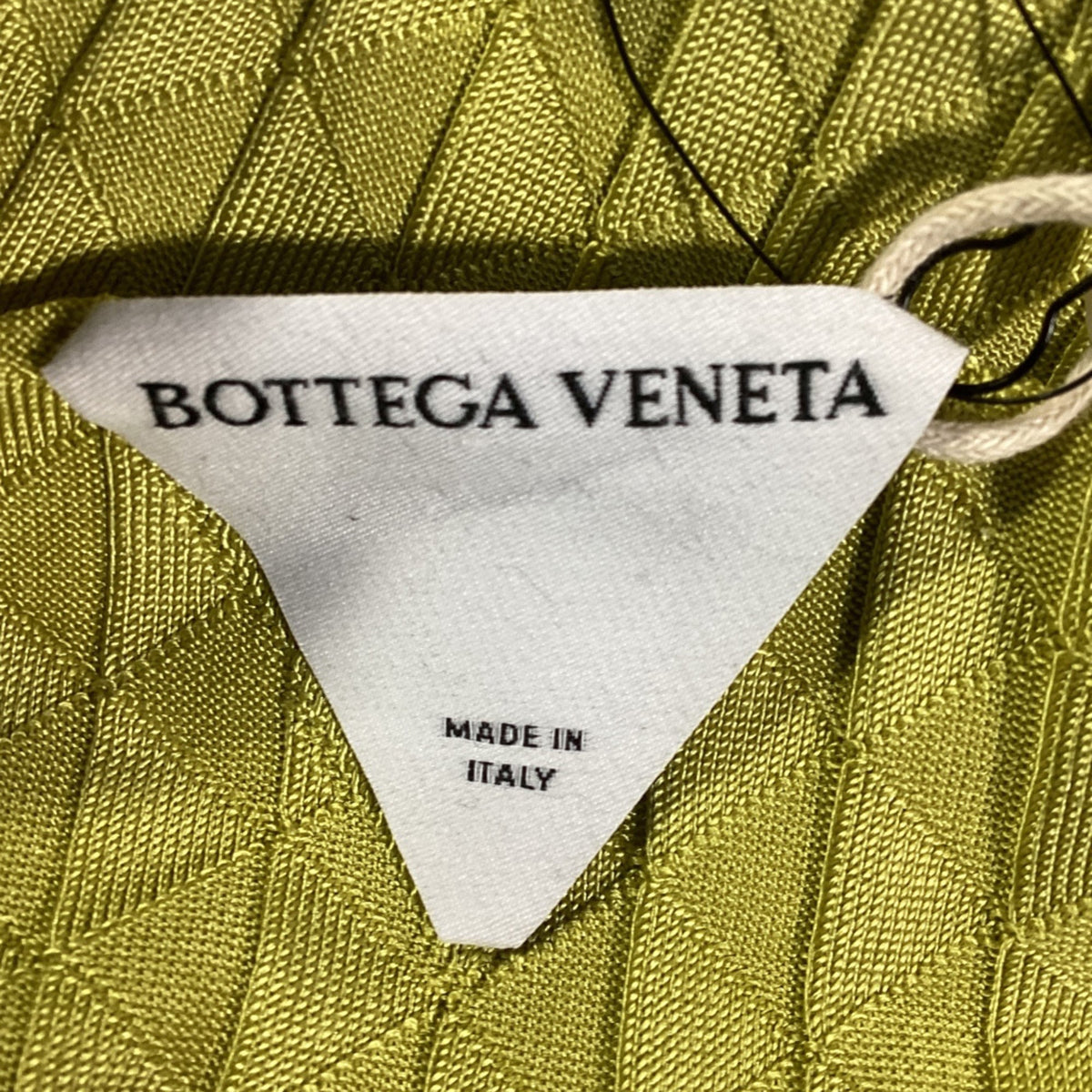 Bottega Veneta Dragon Underpinned Turtleneck Pullover in Green Silk