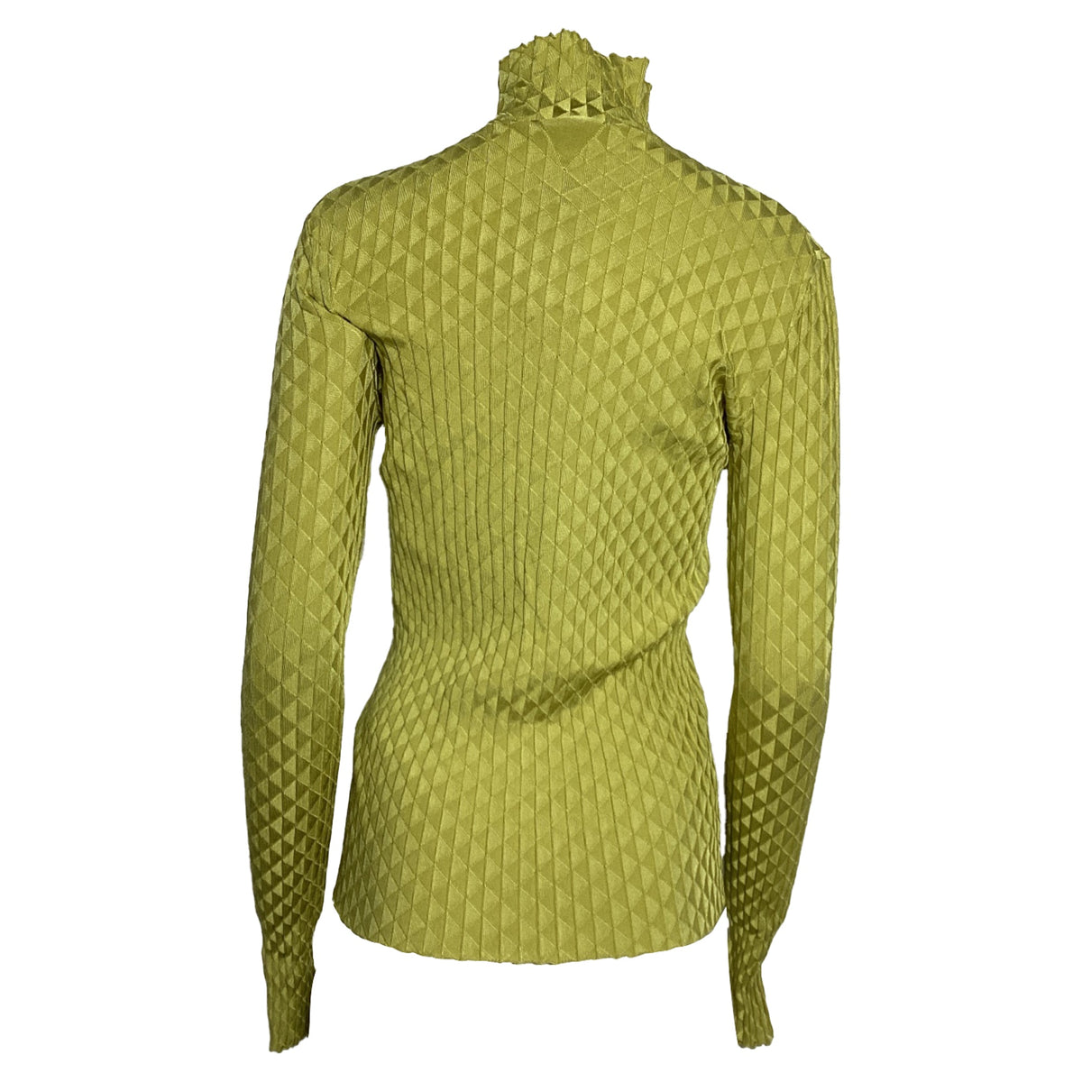 Bottega Veneta Dragon Underpinned Turtleneck Pullover in Green Silk