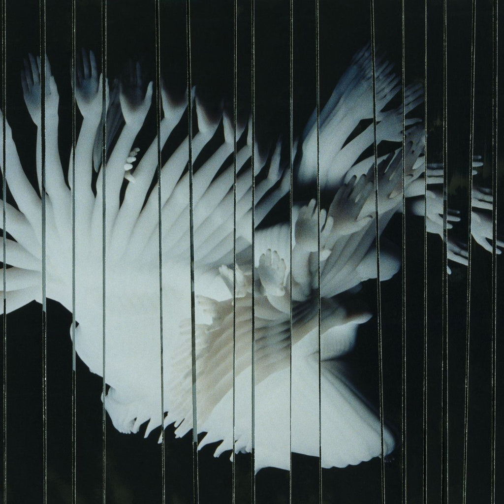 SCALER - Endlessly Vinyl LP
