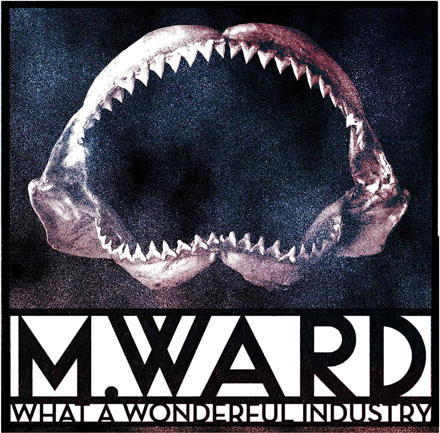 M. Ward - What A Wonderful Industry Cloudy Clear Vinyl LP