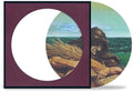 Grateful Dead - Wake Of The Flood LP NEW PIC DISC